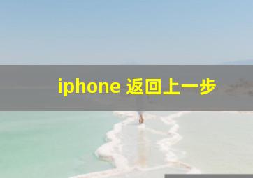 iphone 返回上一步